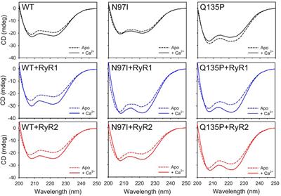 Calmodulin variants associated with congenital arrhythmia impair selectivity for ryanodine receptors